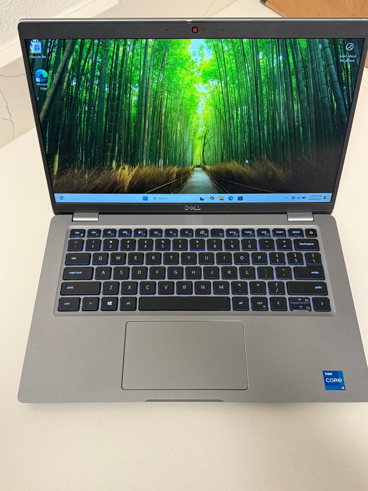 DELL LATITUDE 5420 | CORE I5-1135G7 | 256GB | 16GB | OS/POWER ADAPTER