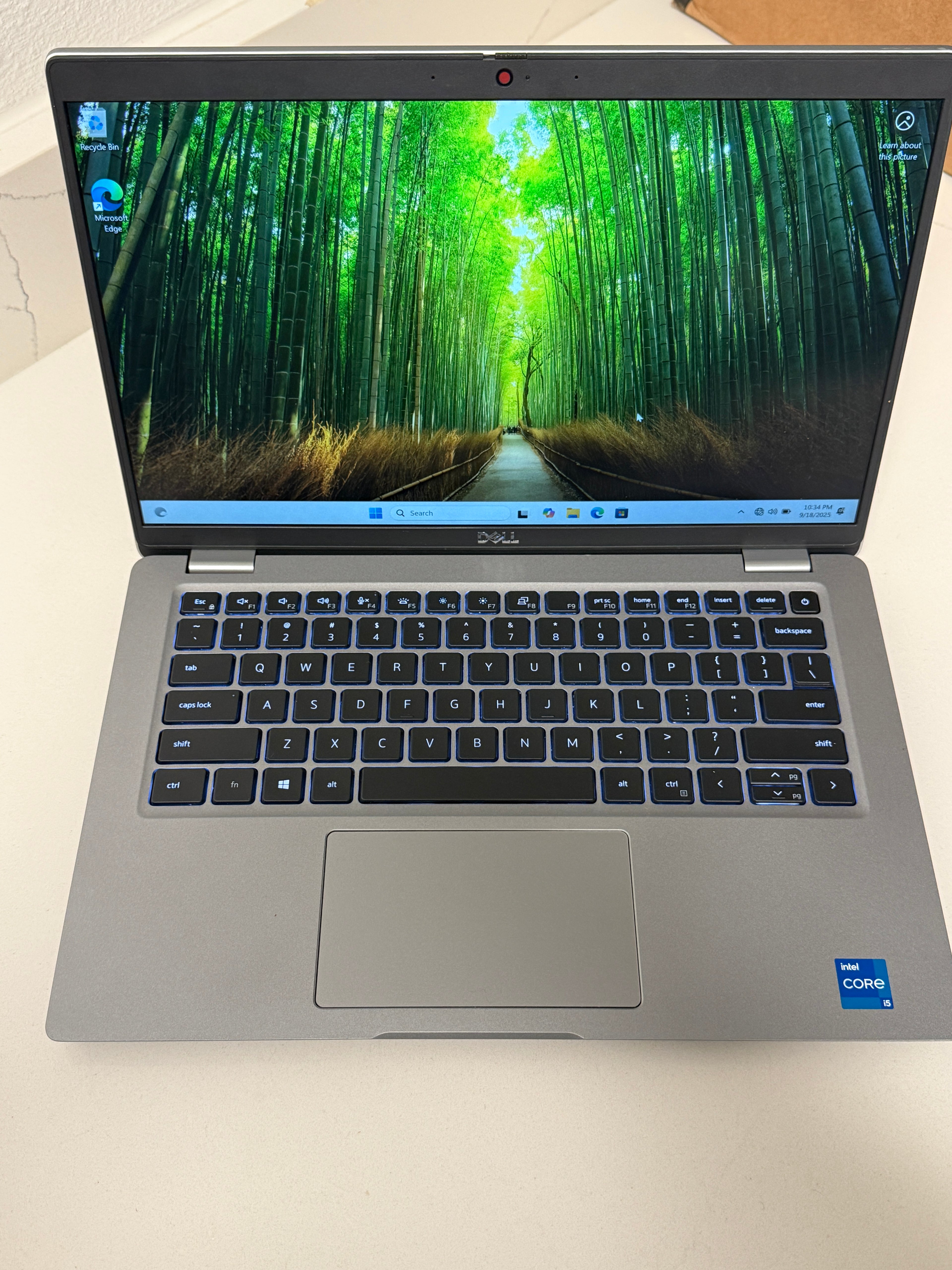 DELL LATITUDE 5420 | CORE I5-1135G7 | 256GB | 16GB | OS/POWER ADAPTER